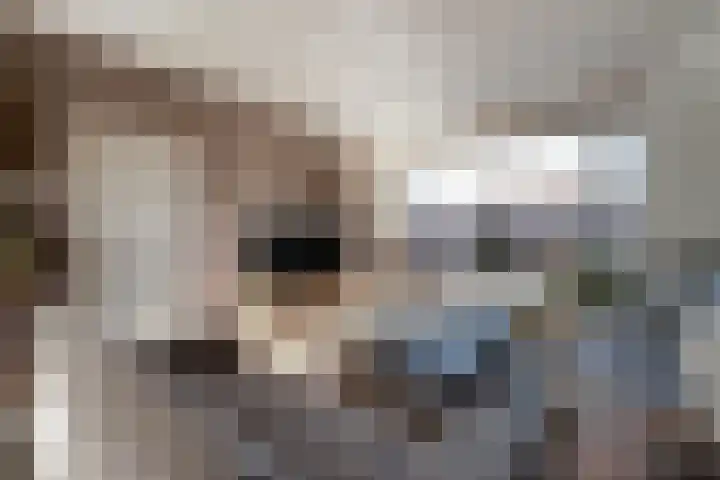 Willem de Zwijgerlaan 126 Zevenaar thumbnail 18