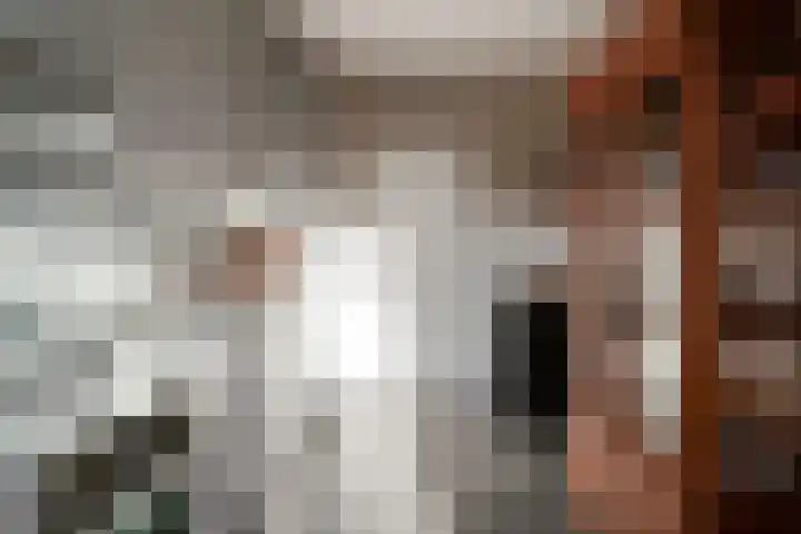 Willem de Zwijgerlaan 126 Zevenaar thumbnail 22