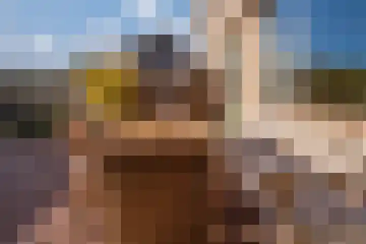 Willem de Zwijgerlaan 126 Zevenaar thumbnail 26