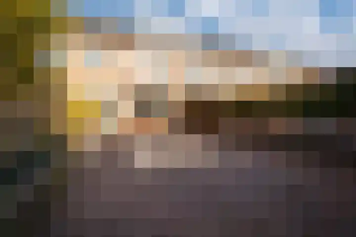 Willem de Zwijgerlaan 126 Zevenaar thumbnail 27