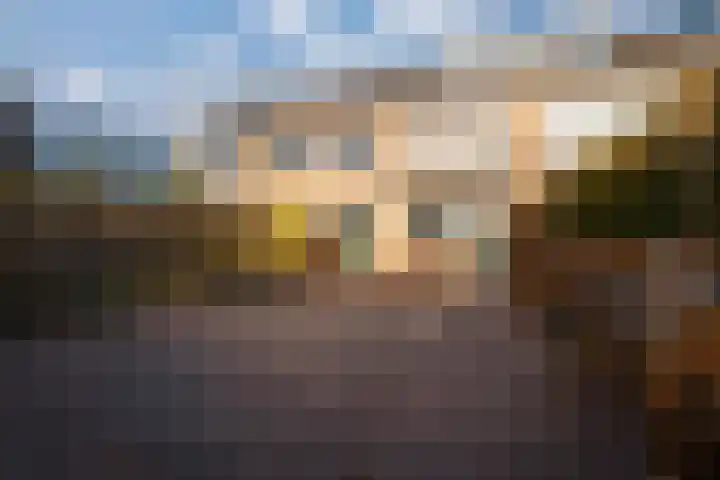Willem de Zwijgerlaan 126 Zevenaar thumbnail 28