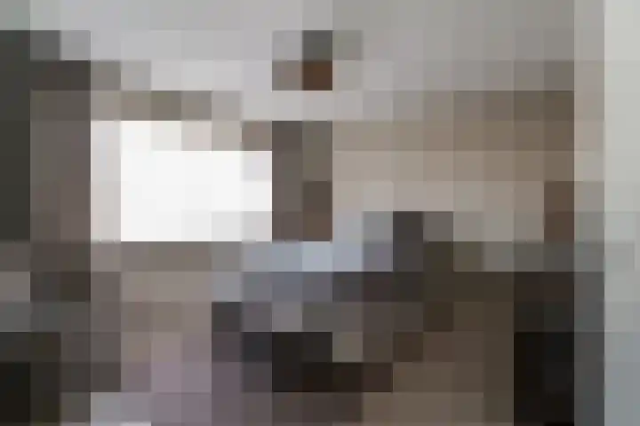 Willem de Zwijgerlaan 126 Zevenaar thumbnail 35