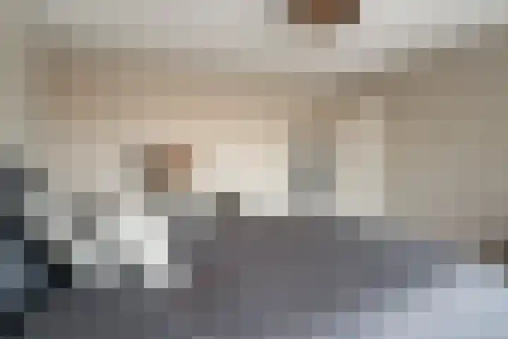 Willem de Zwijgerlaan 126 Zevenaar thumbnail 36