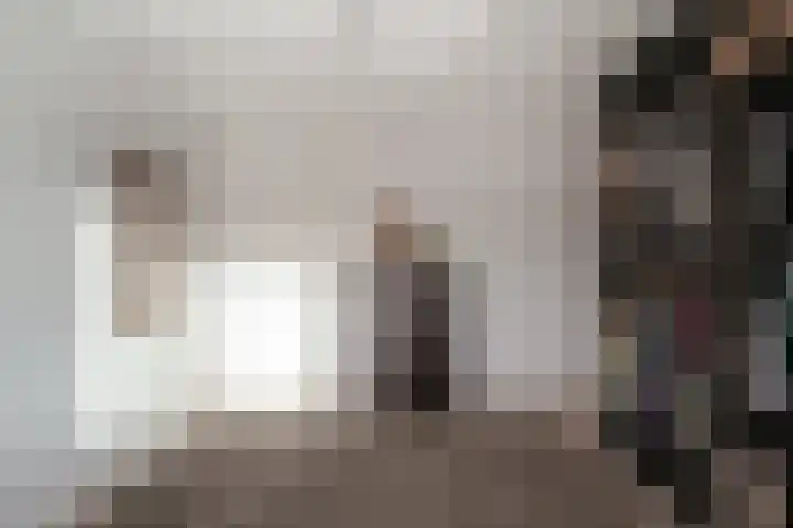 Willem de Zwijgerlaan 126 Zevenaar thumbnail 39