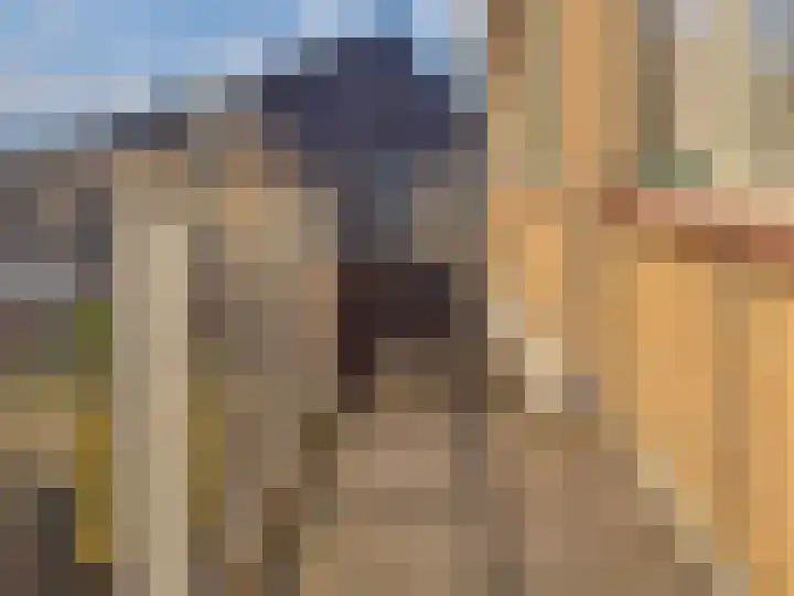 Willem de Zwijgerlaan 126 Zevenaar thumbnail 43