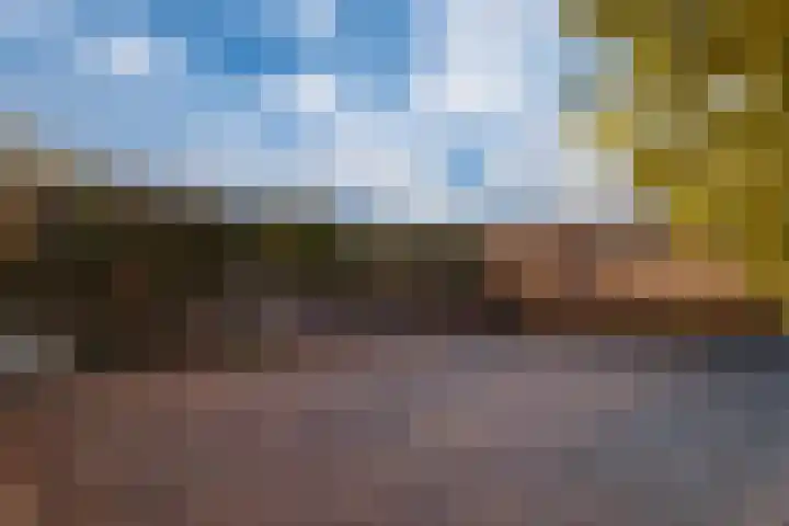 Willem de Zwijgerlaan 126 Zevenaar thumbnail 5