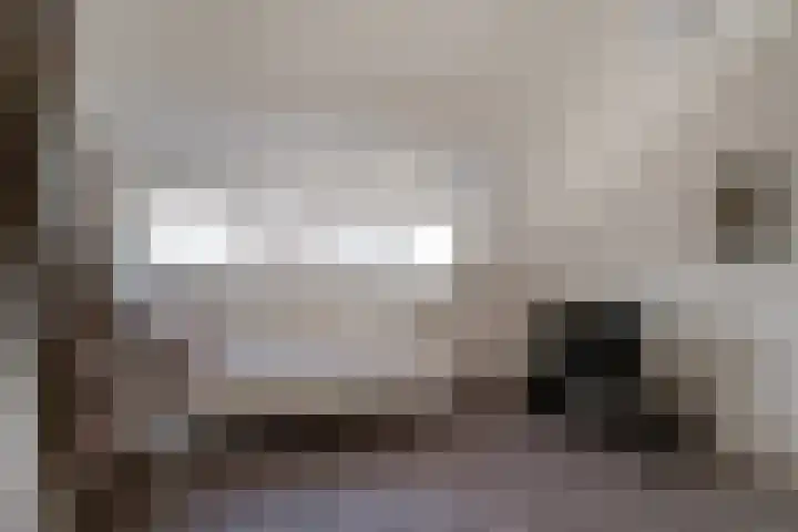 Willem de Zwijgerlaan 126 Zevenaar thumbnail 51
