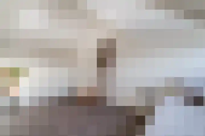 Willem de Zwijgerlaan 126 Zevenaar thumbnail 52