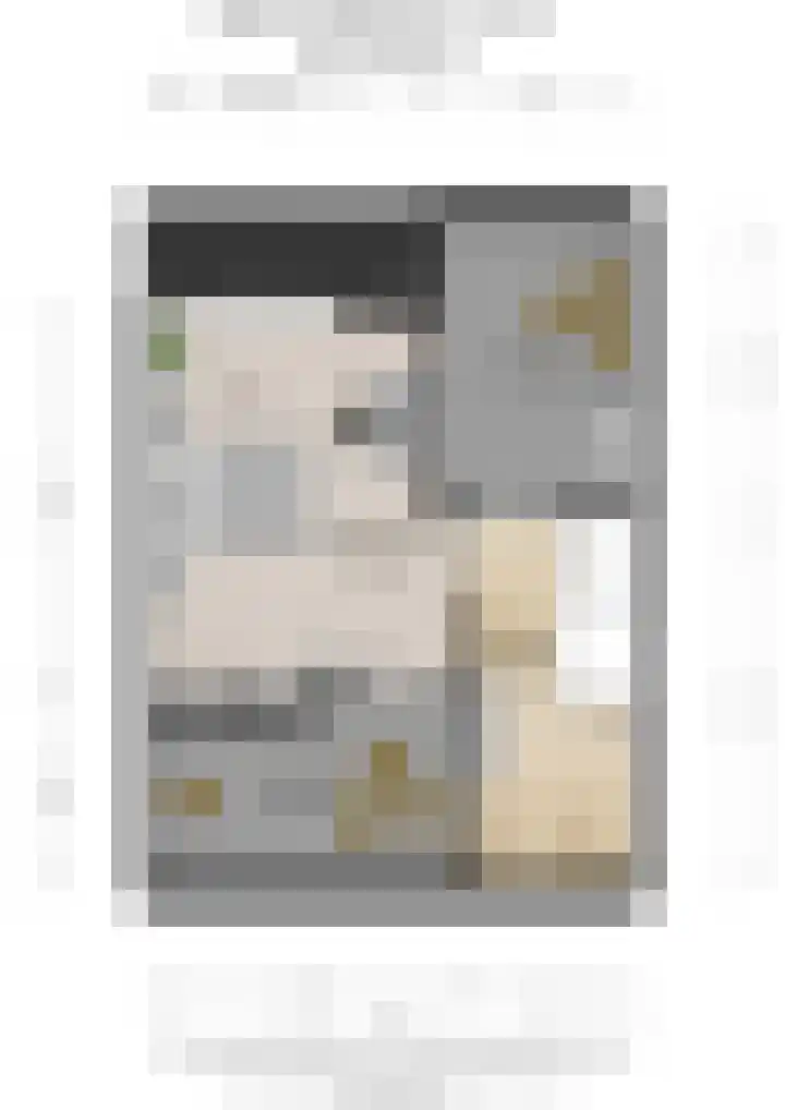 Willem de Zwijgerlaan 126 Zevenaar thumbnail 59