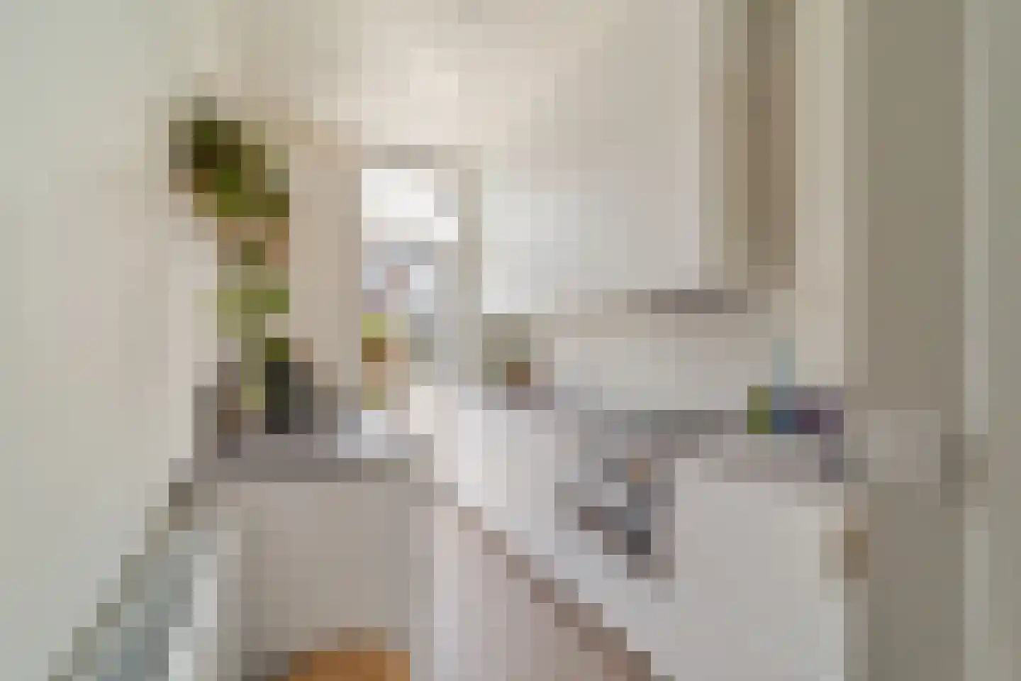 Willem de Zwijgerlaan 128 A Den Haag thumbnail 14