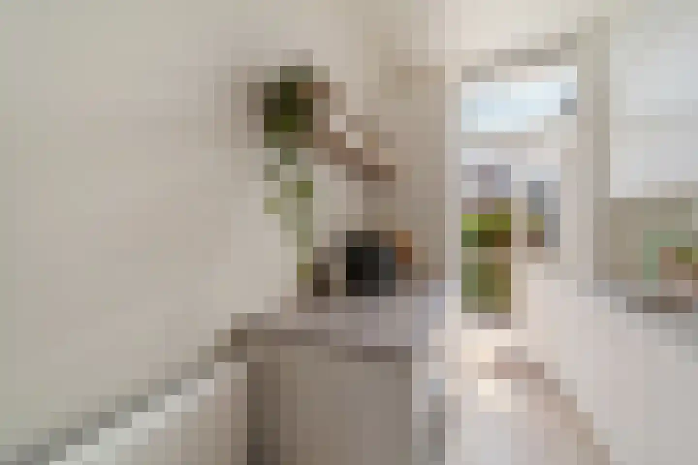 Willem de Zwijgerlaan 128 A Den Haag thumbnail 15