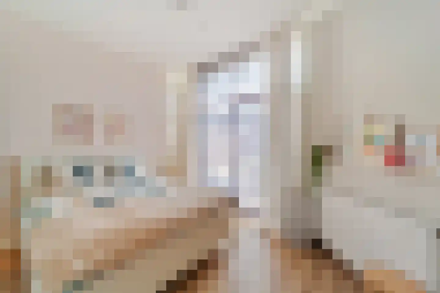 Willem de Zwijgerlaan 128 A Den Haag thumbnail 21
