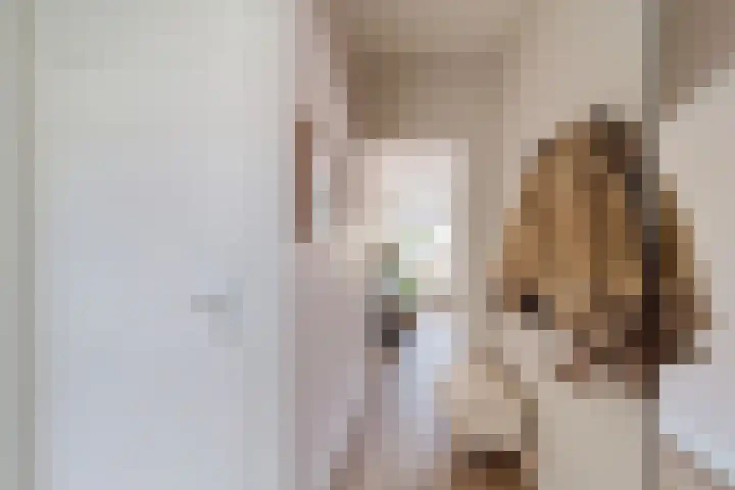 Willem de Zwijgerlaan 128 A Den Haag thumbnail 28