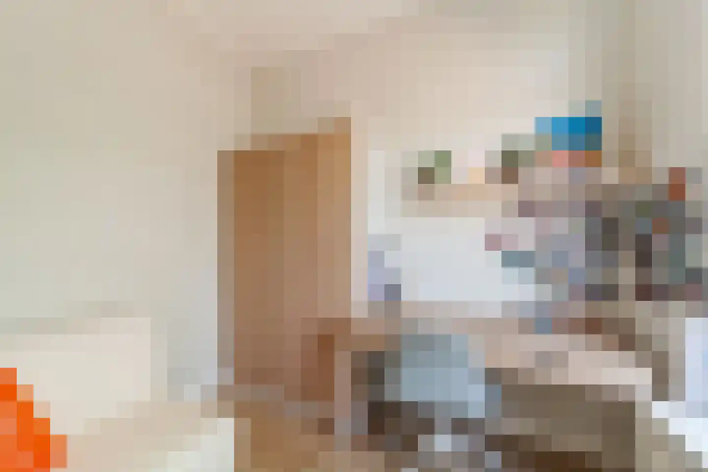 Willem de Zwijgerlaan 128 A Den Haag thumbnail 30