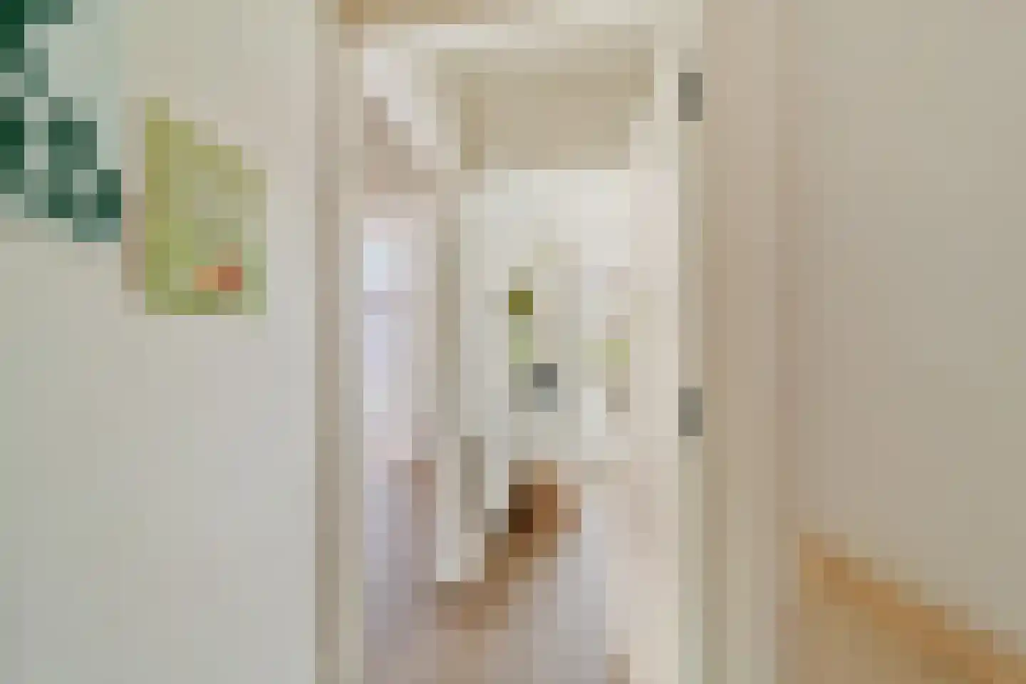 Willem de Zwijgerlaan 128 A Den Haag thumbnail 6