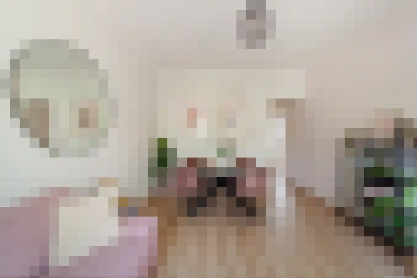 Willem de Zwijgerlaan 128 A Den Haag thumbnail 8