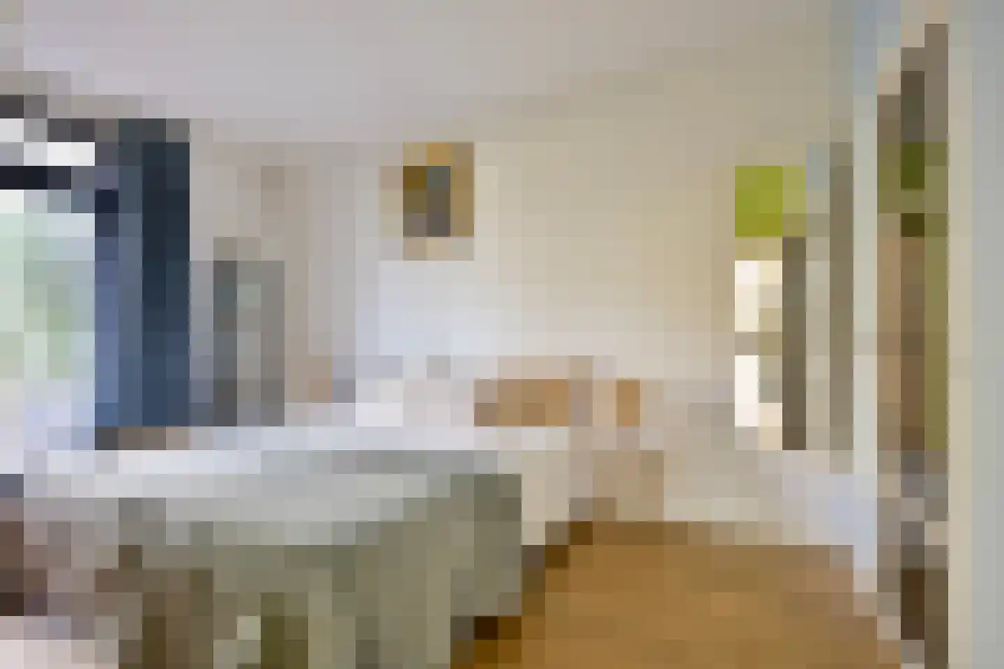 Willem de Zwijgerlaan 13 Amersfoort thumbnail 38
