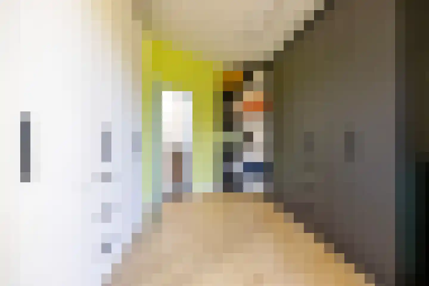 Willem de Zwijgerlaan 13 Amersfoort thumbnail 54