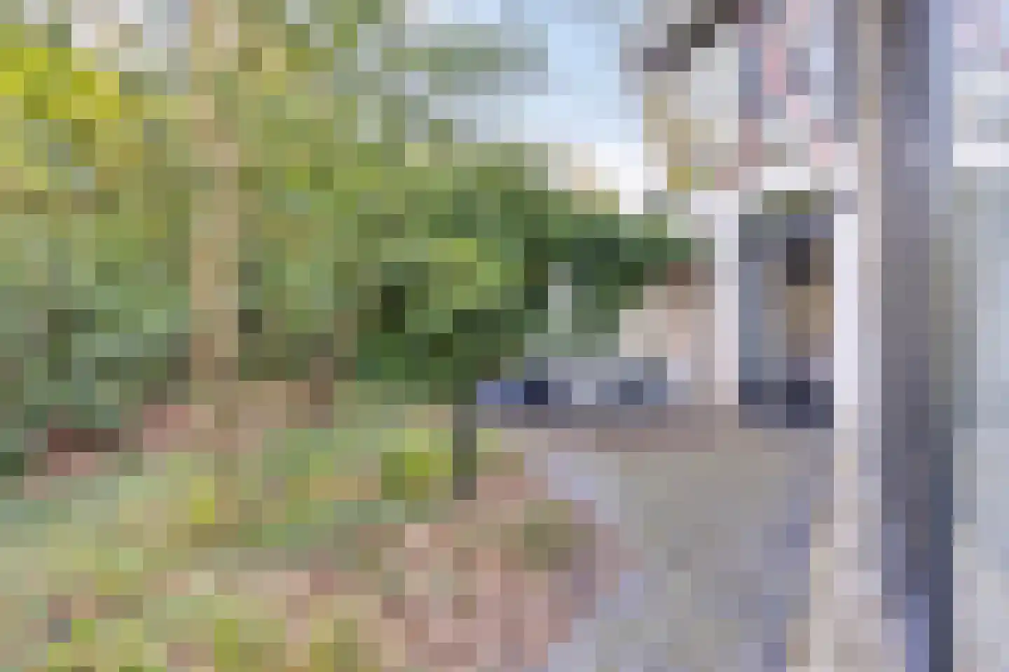 Willem de Zwijgerlaan 13 Amersfoort thumbnail 56