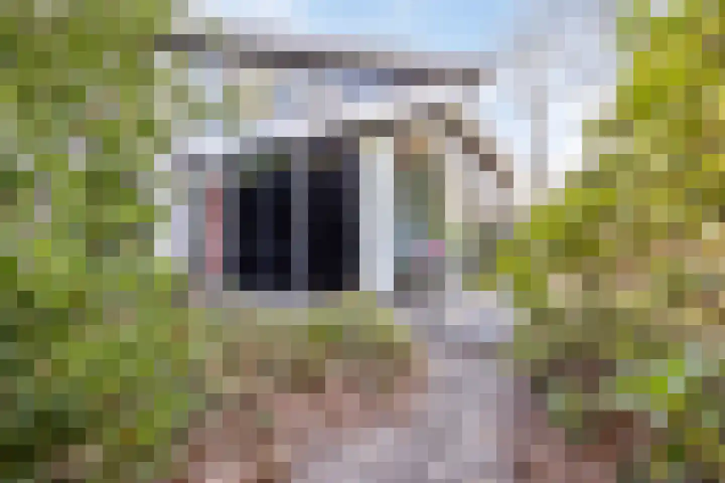 Willem de Zwijgerlaan 13 Amersfoort thumbnail 57