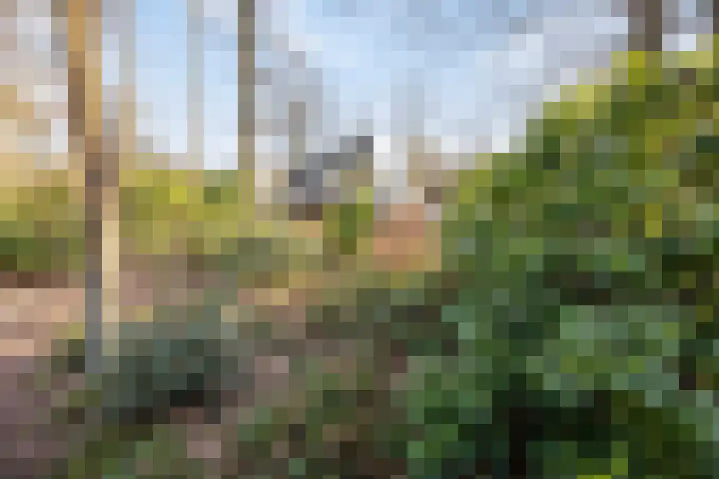 Willem de Zwijgerlaan 13 Amersfoort thumbnail 58