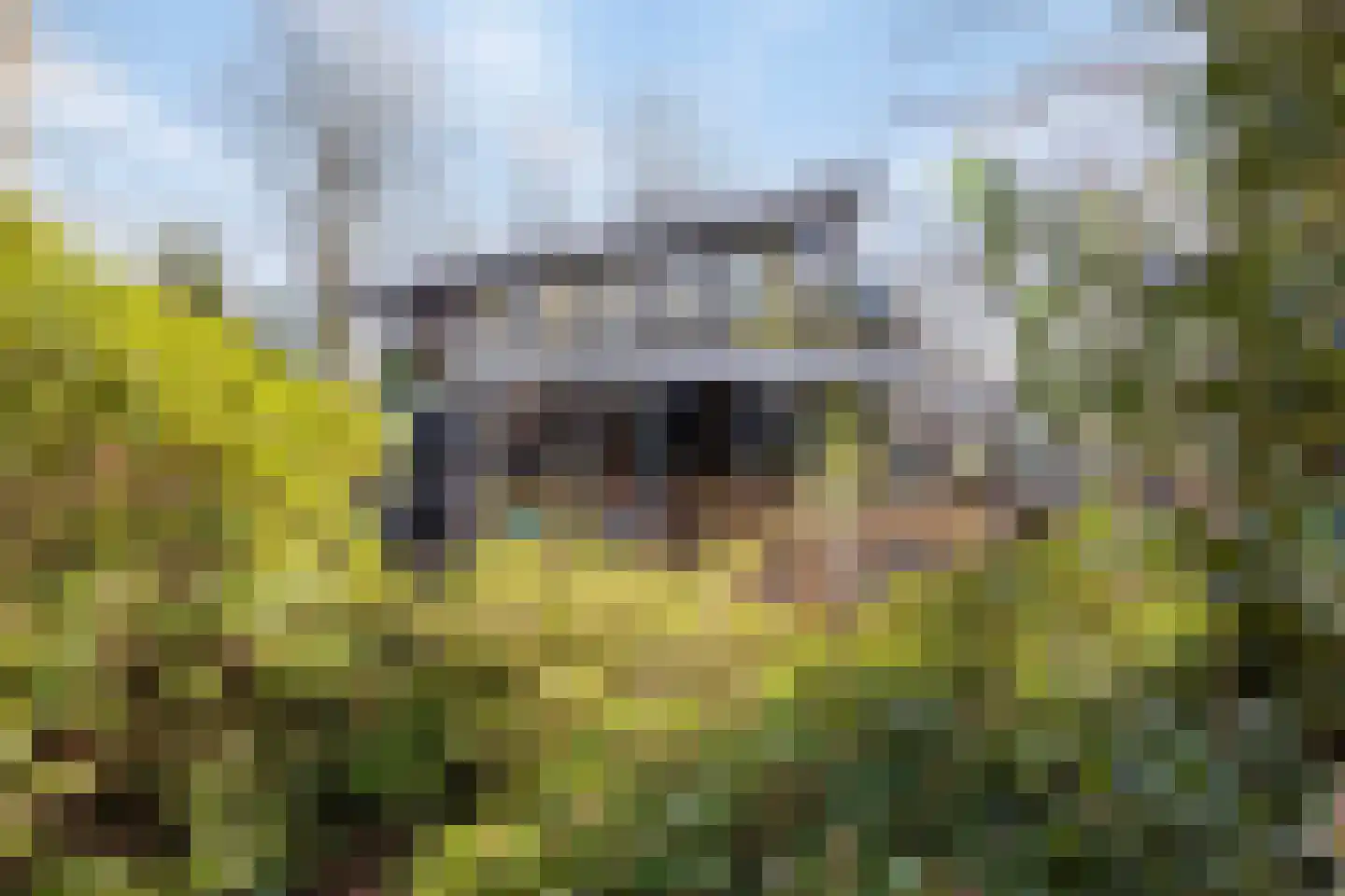 Willem de Zwijgerlaan 13 Amersfoort thumbnail 59