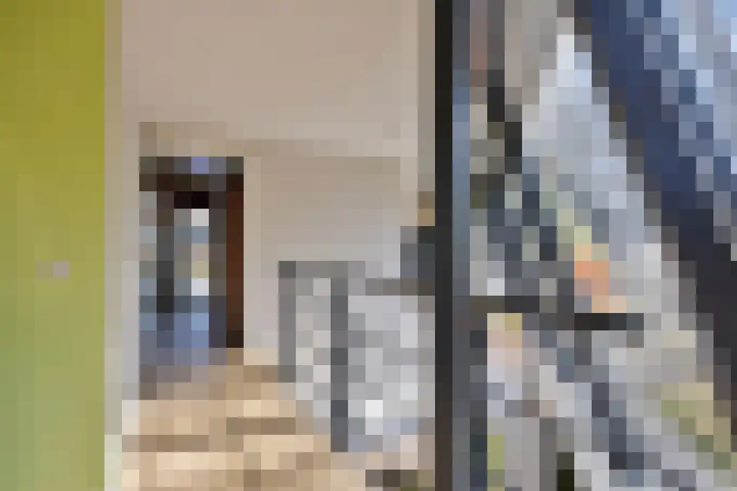 Willem de Zwijgerlaan 13 Amersfoort thumbnail 9