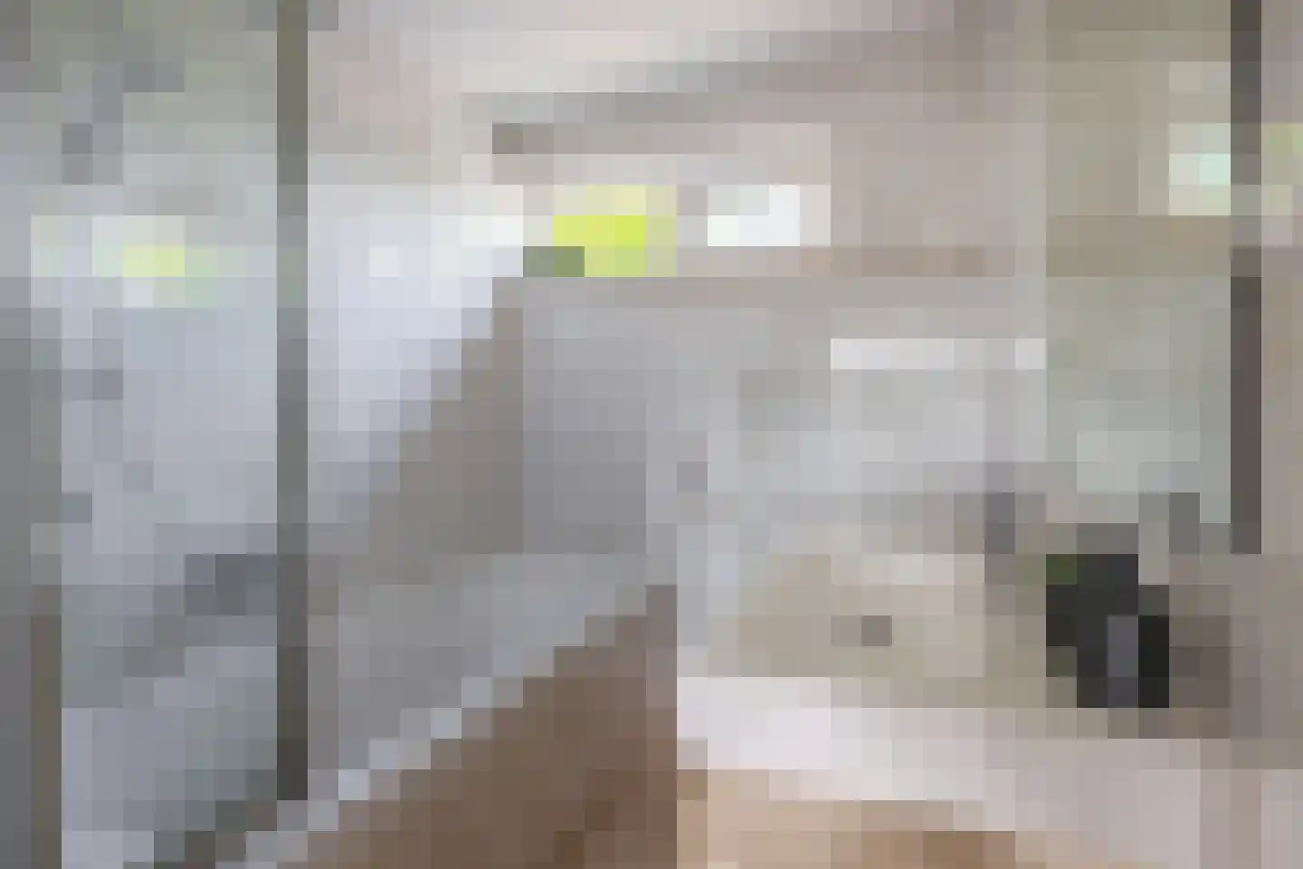 Willem de Zwijgerlaan 13 Kaatsheuvel thumbnail 26