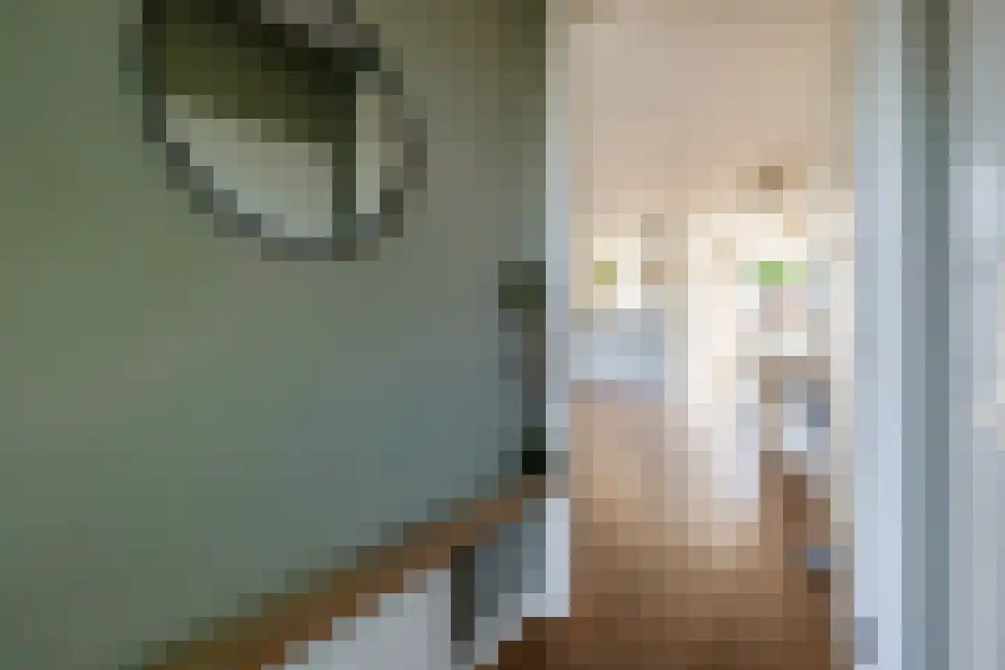 Willem de Zwijgerlaan 13 Kaatsheuvel thumbnail 6