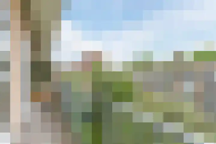 Willem de Zwijgerlaan 132 1 Amsterdam thumbnail 19