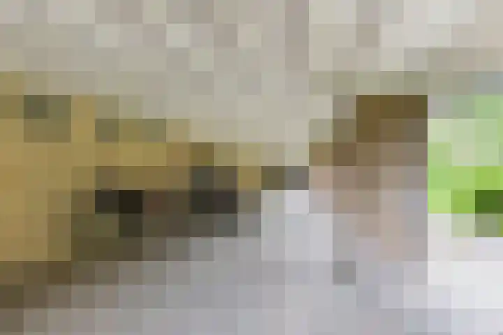 Willem de Zwijgerlaan 132 1 Amsterdam thumbnail 22