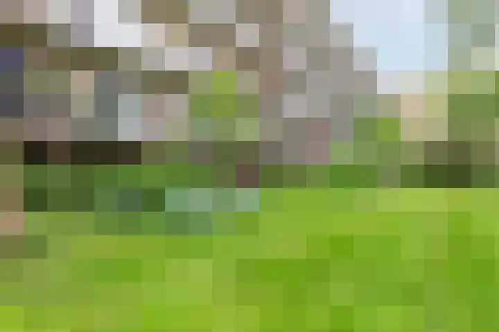 Willem de Zwijgerlaan 132 1 Amsterdam thumbnail 26