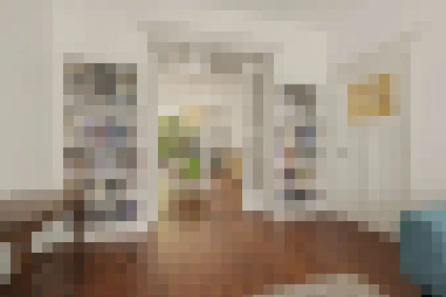 Willem de Zwijgerlaan 132 Den Haag thumbnail 10