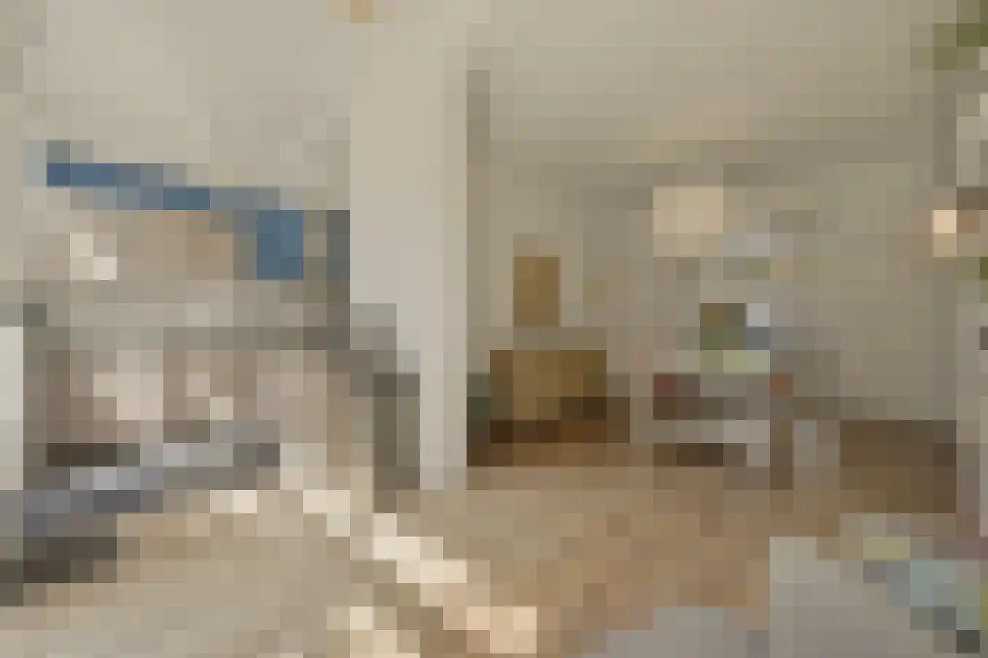 Willem de Zwijgerlaan 132 Den Haag thumbnail 16