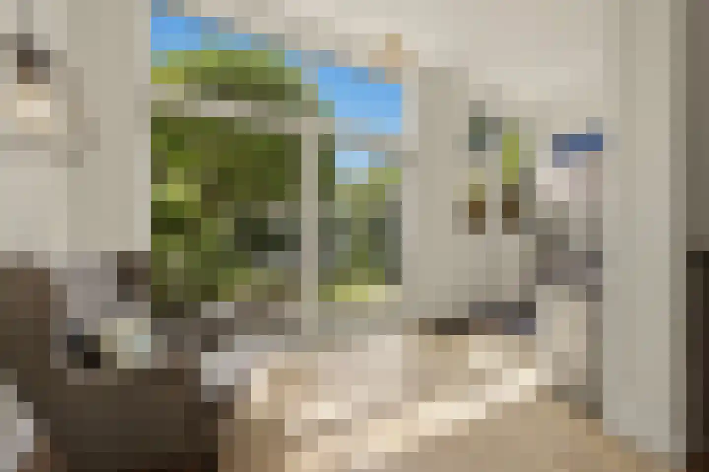 Willem de Zwijgerlaan 132 Den Haag thumbnail 17