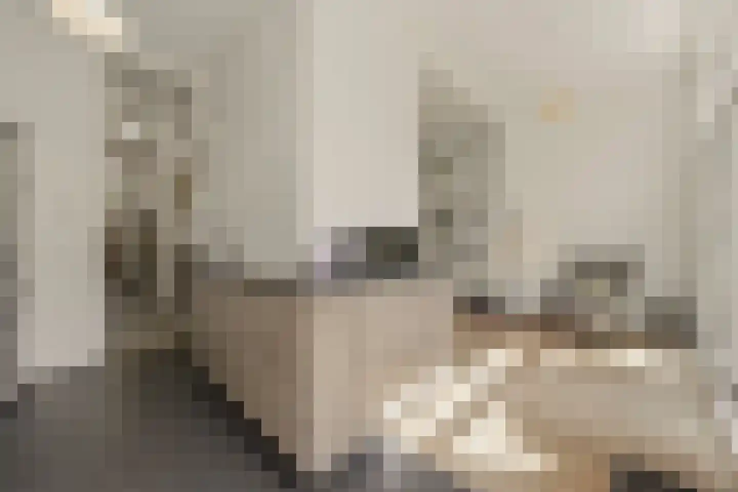 Willem de Zwijgerlaan 132 Den Haag thumbnail 18