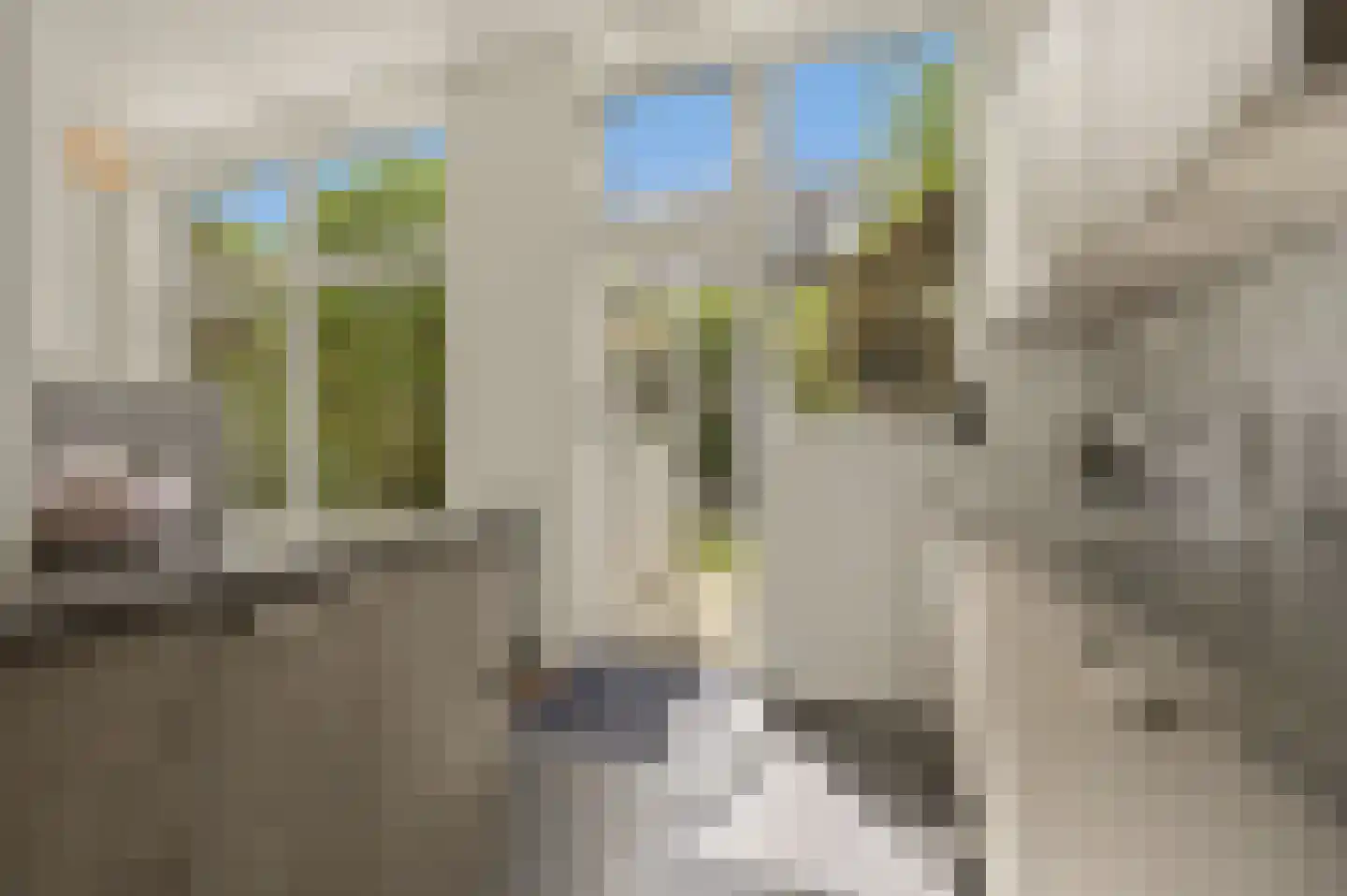 Willem de Zwijgerlaan 132 Den Haag thumbnail 19