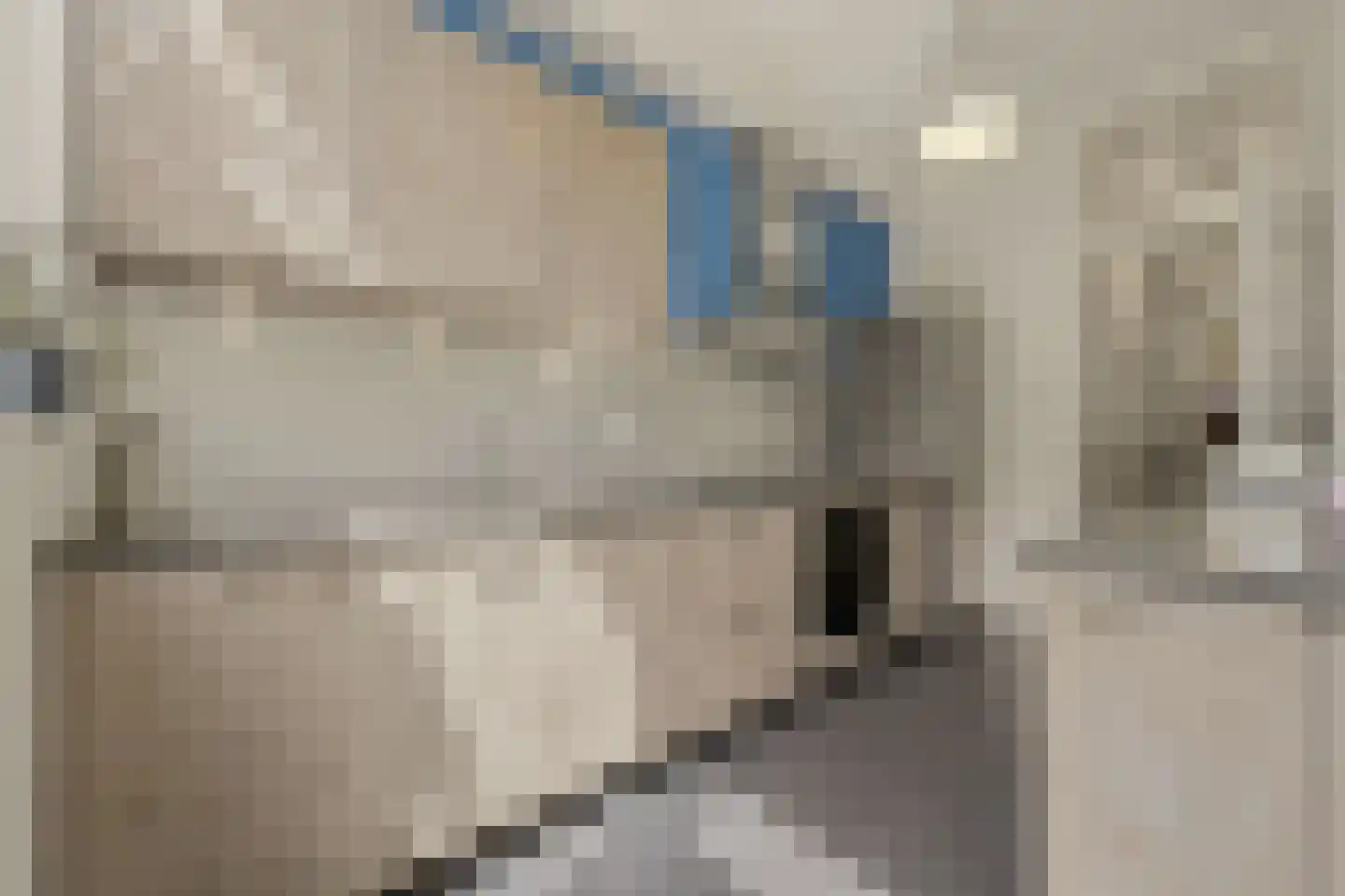 Willem de Zwijgerlaan 132 Den Haag thumbnail 20