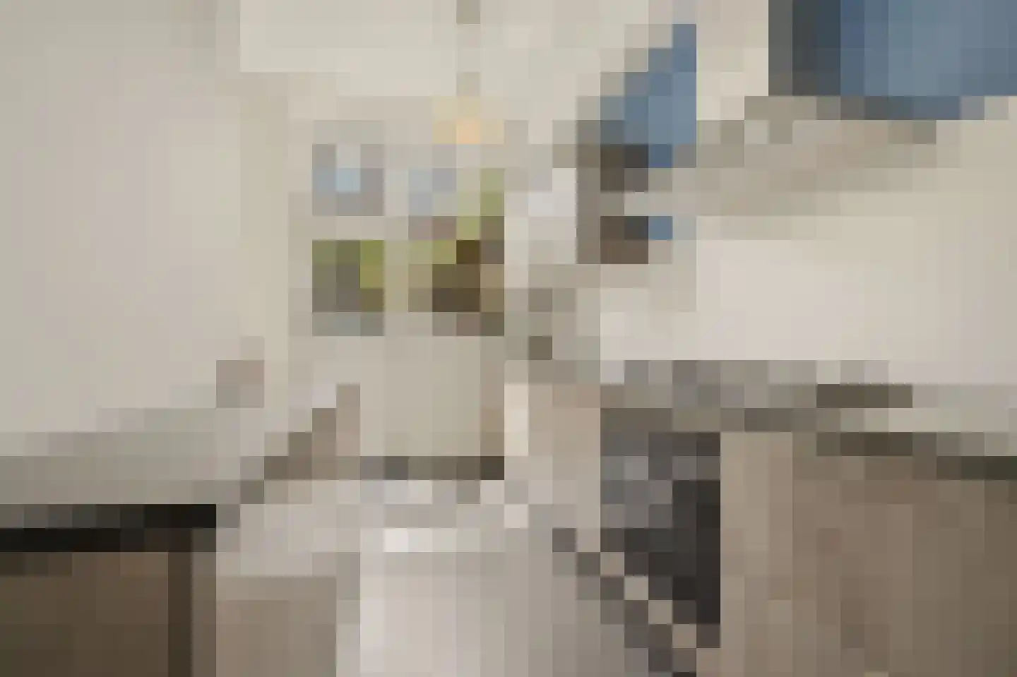 Willem de Zwijgerlaan 132 Den Haag thumbnail 21