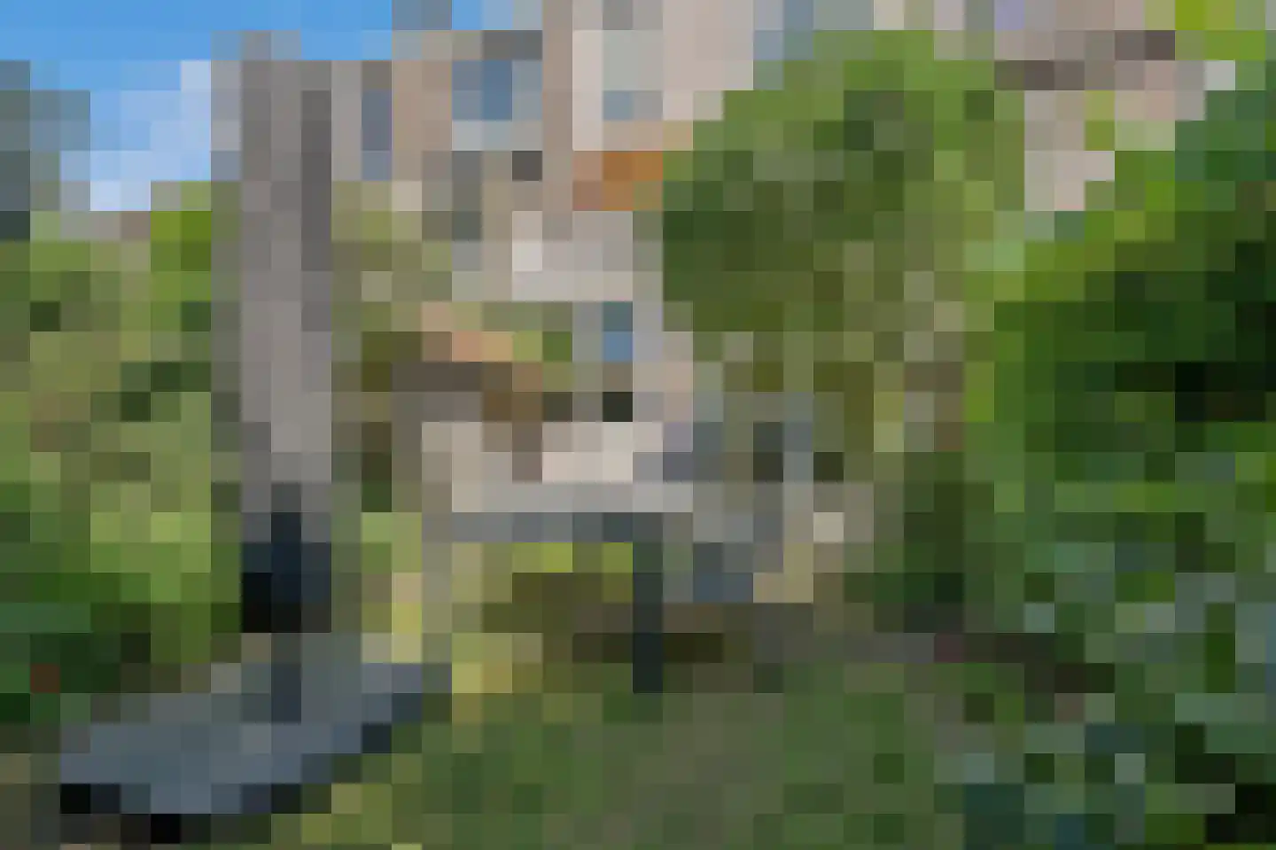 Willem de Zwijgerlaan 132 Den Haag thumbnail 28