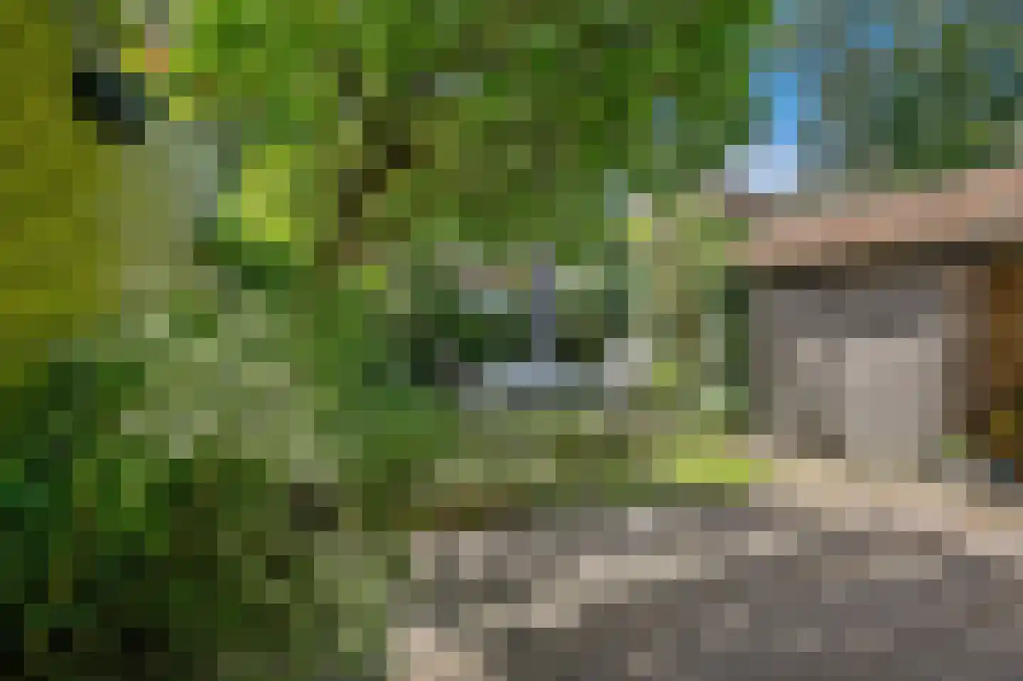 Willem de Zwijgerlaan 132 Den Haag thumbnail 29