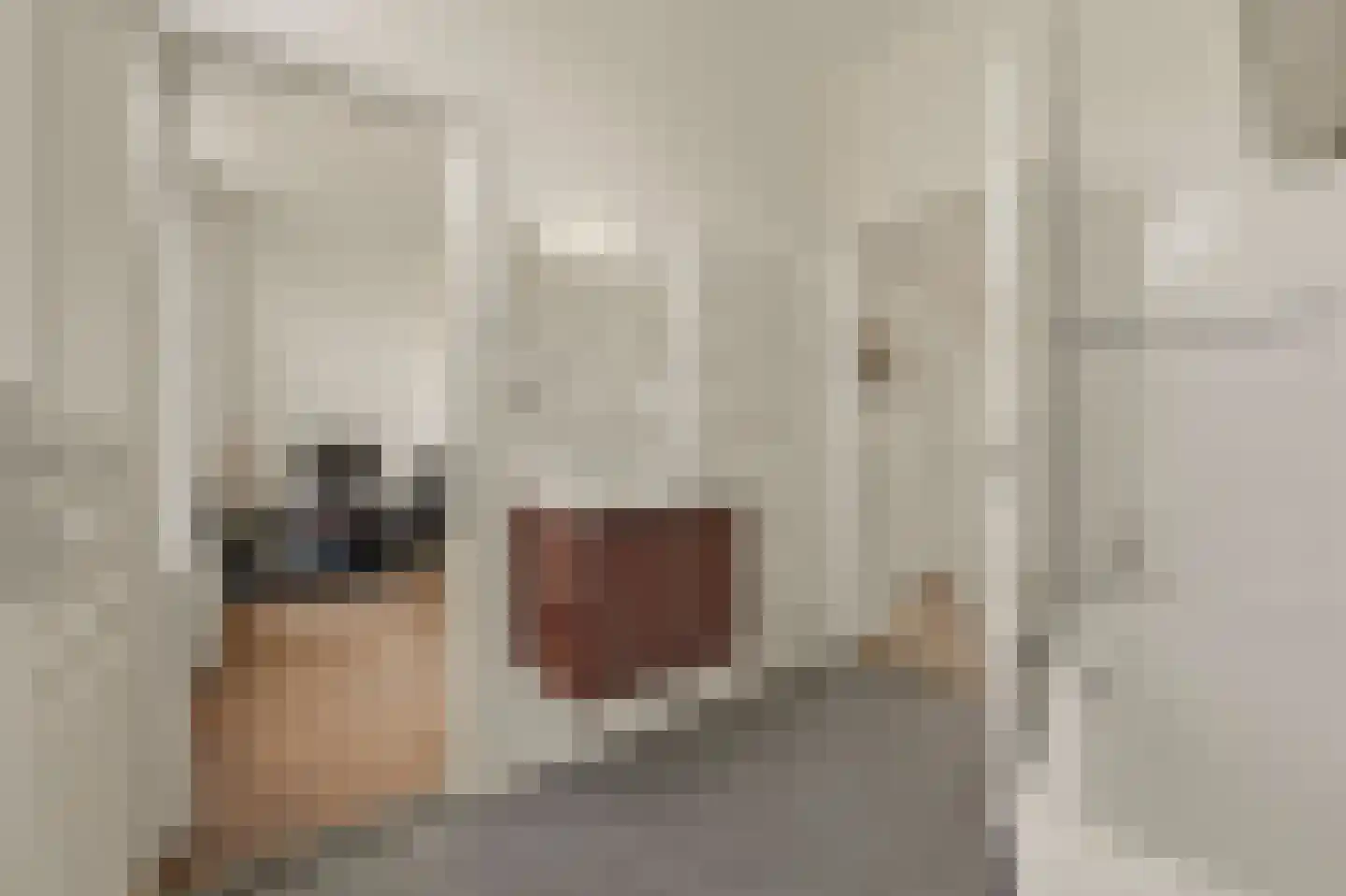 Willem de Zwijgerlaan 132 Den Haag thumbnail 37