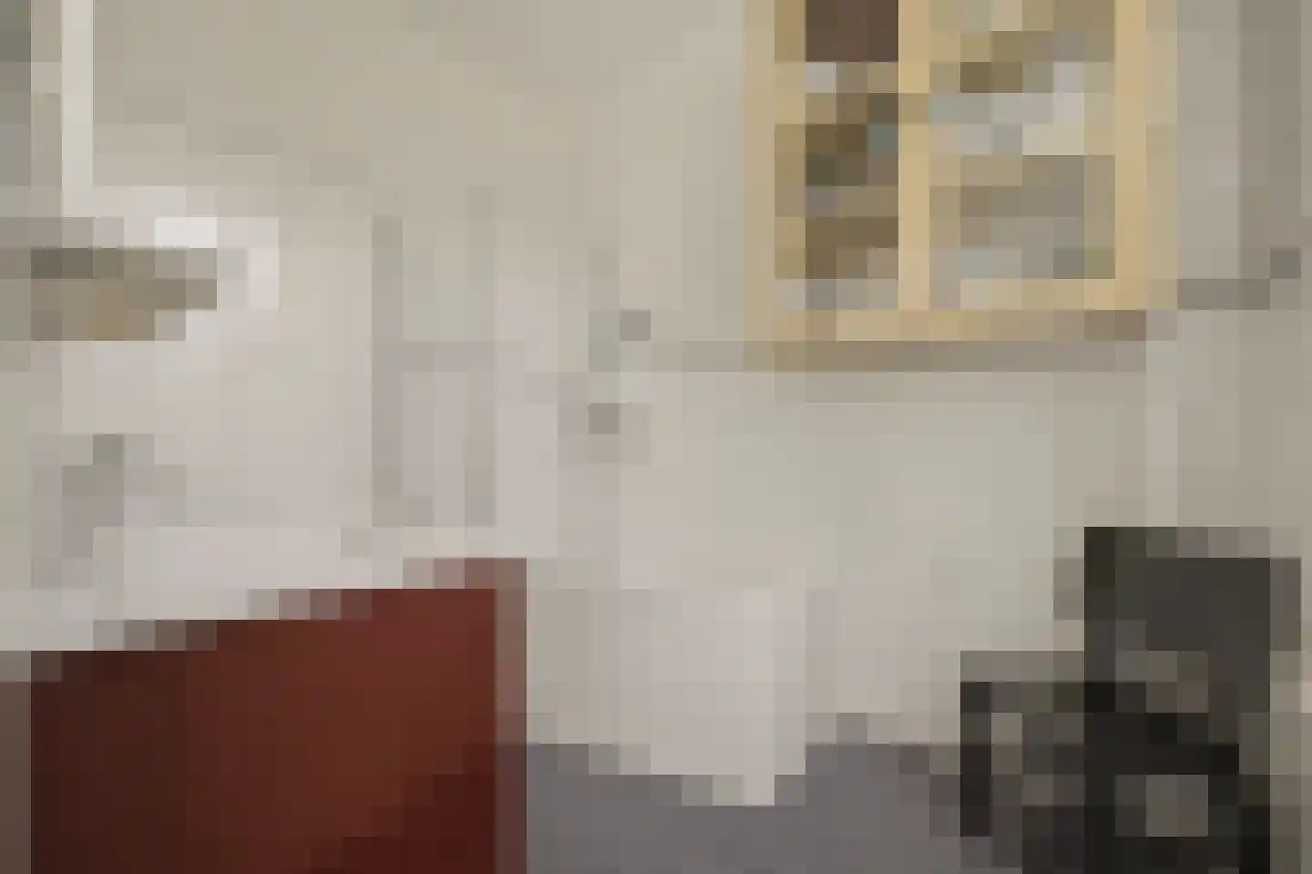 Willem de Zwijgerlaan 132 Den Haag thumbnail 39