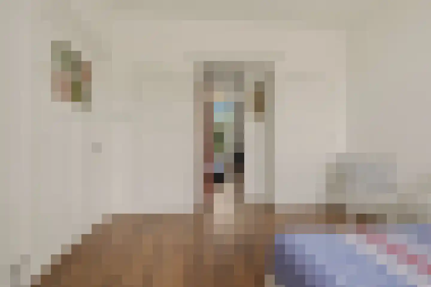 Willem de Zwijgerlaan 132 Den Haag thumbnail 45