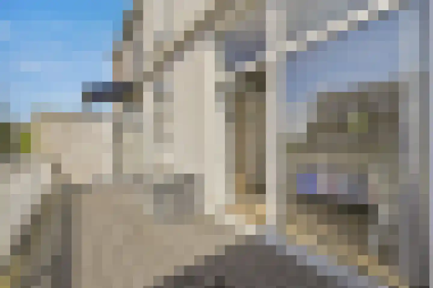 Willem de Zwijgerlaan 132 Den Haag thumbnail 47