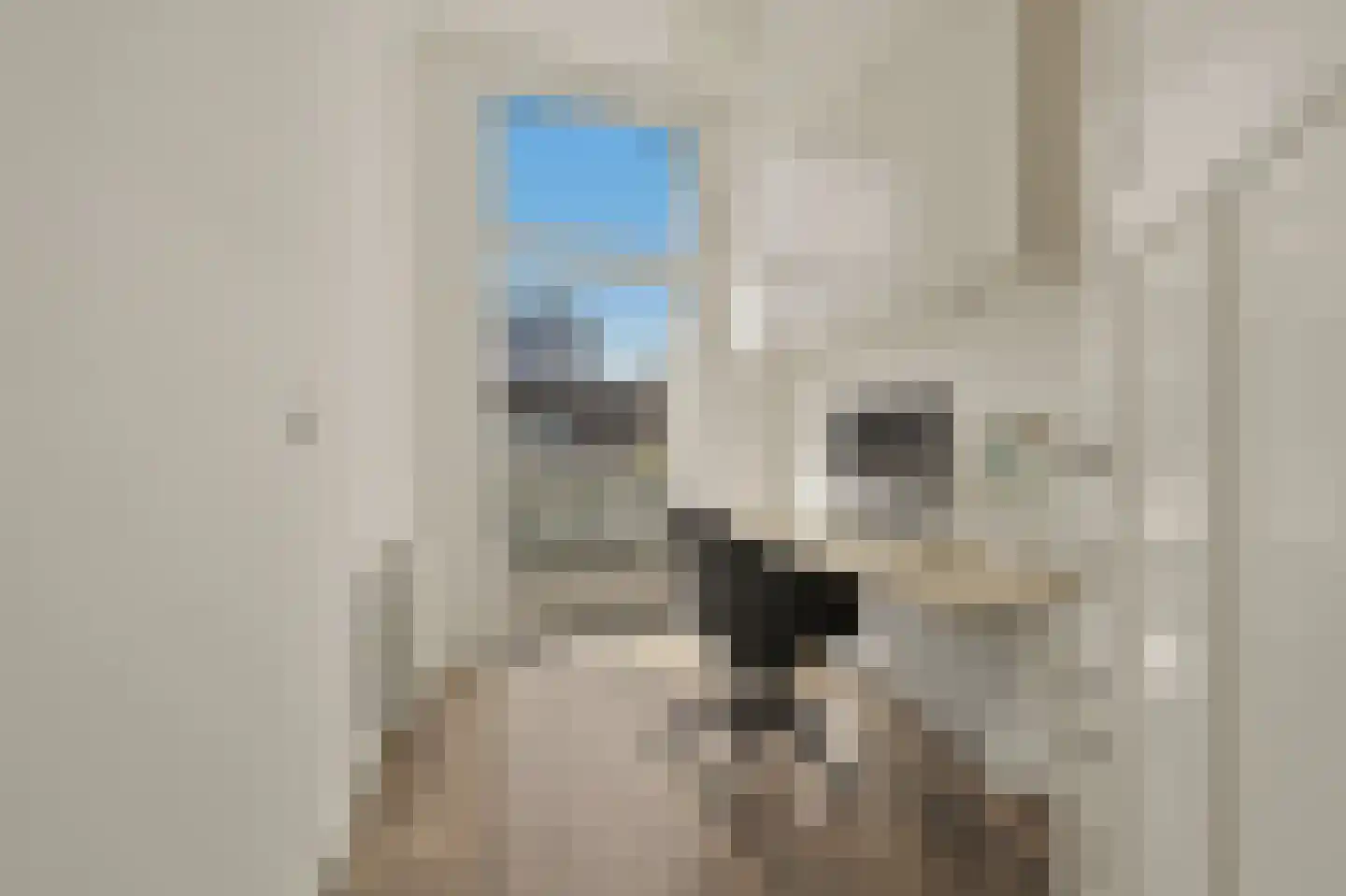 Willem de Zwijgerlaan 132 Den Haag thumbnail 51