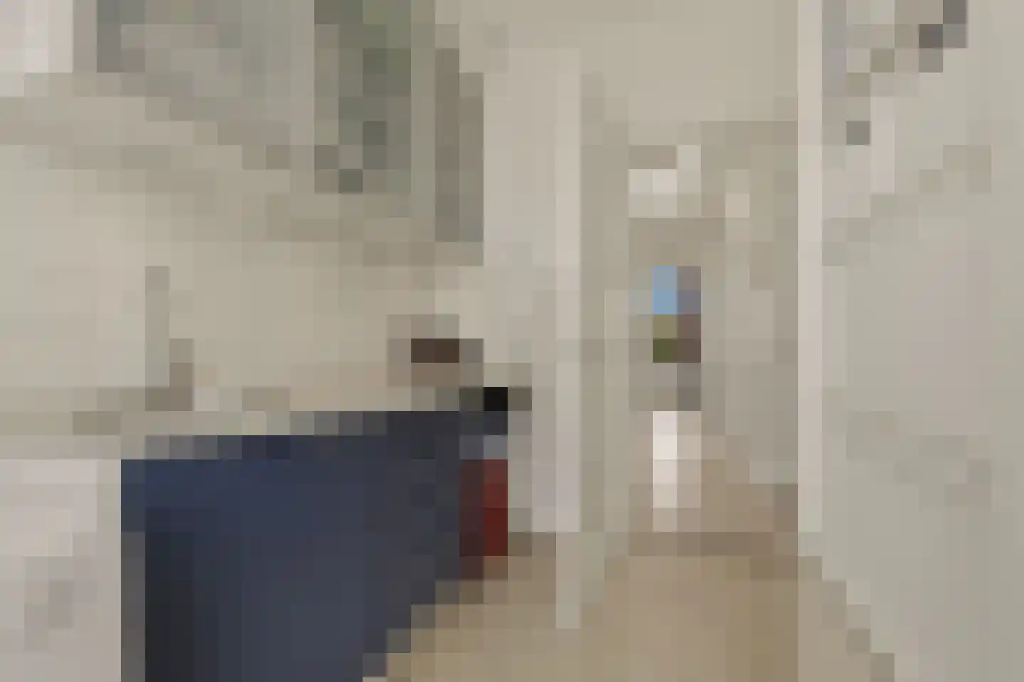 Willem de Zwijgerlaan 132 Den Haag thumbnail 60
