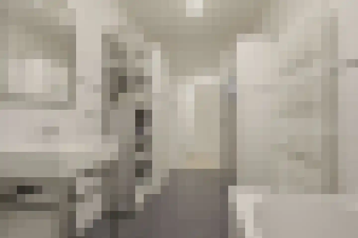 Willem de Zwijgerlaan 132 Den Haag thumbnail 63