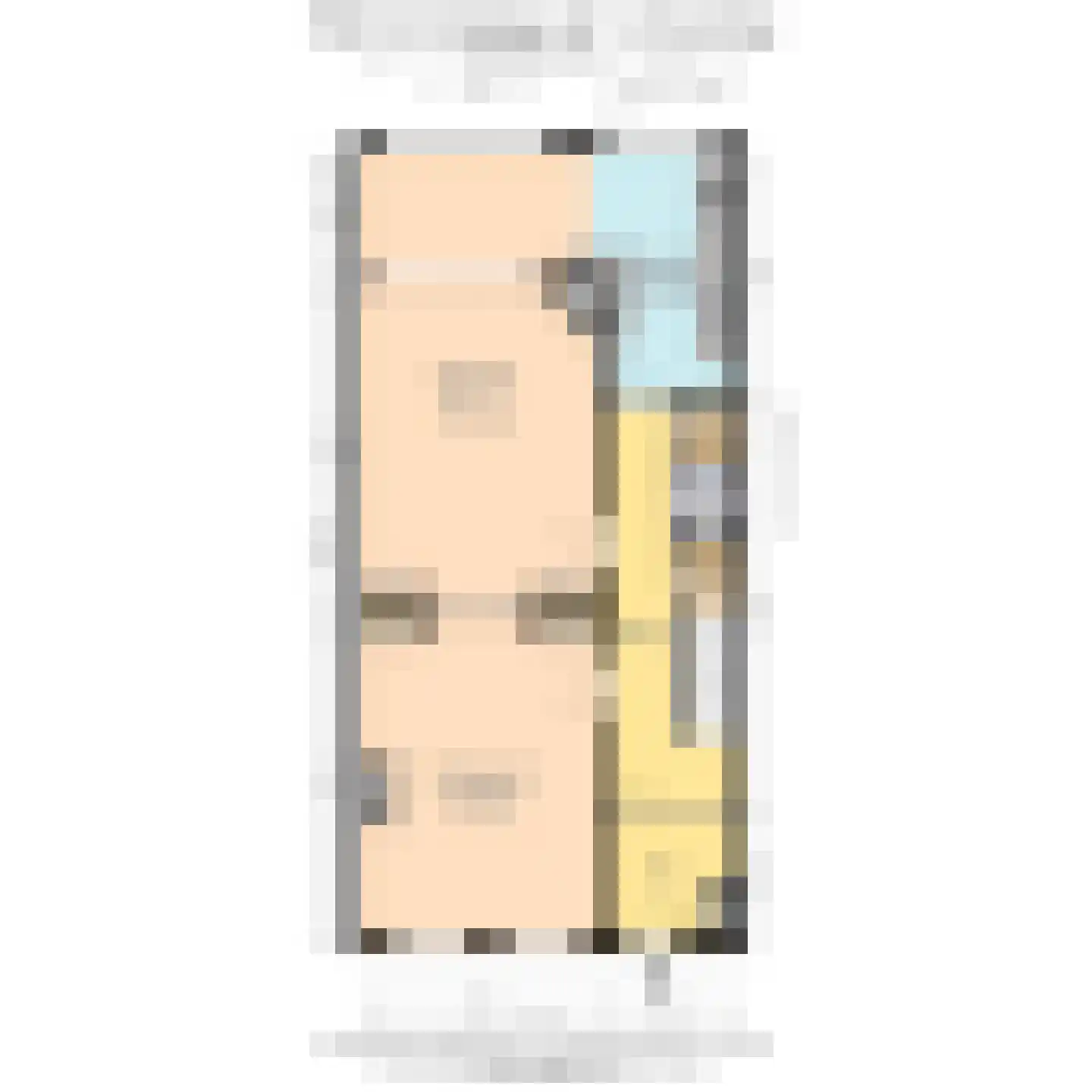 Willem de Zwijgerlaan 132 Den Haag thumbnail 84