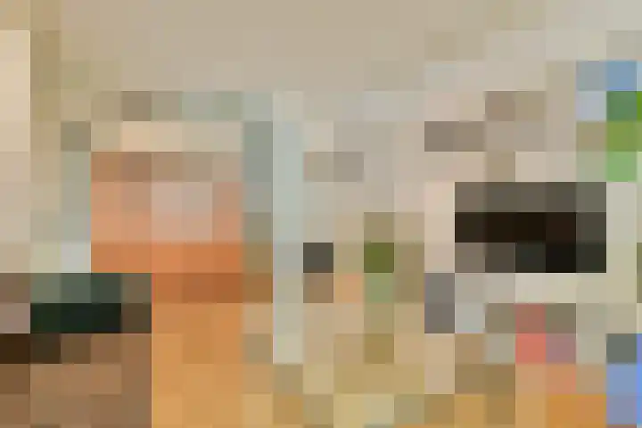 Willem de Zwijgerlaan 134 3 Amsterdam thumbnail 10